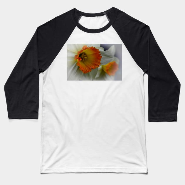 Daffodil Flower Baseball T-Shirt by MartynUK